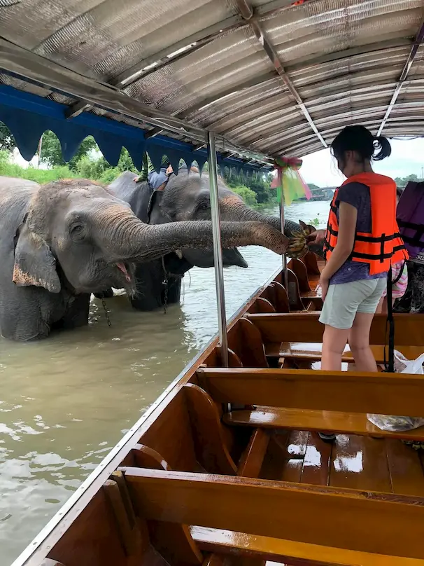 ล่องเรือรอบเกาะอยุธยา